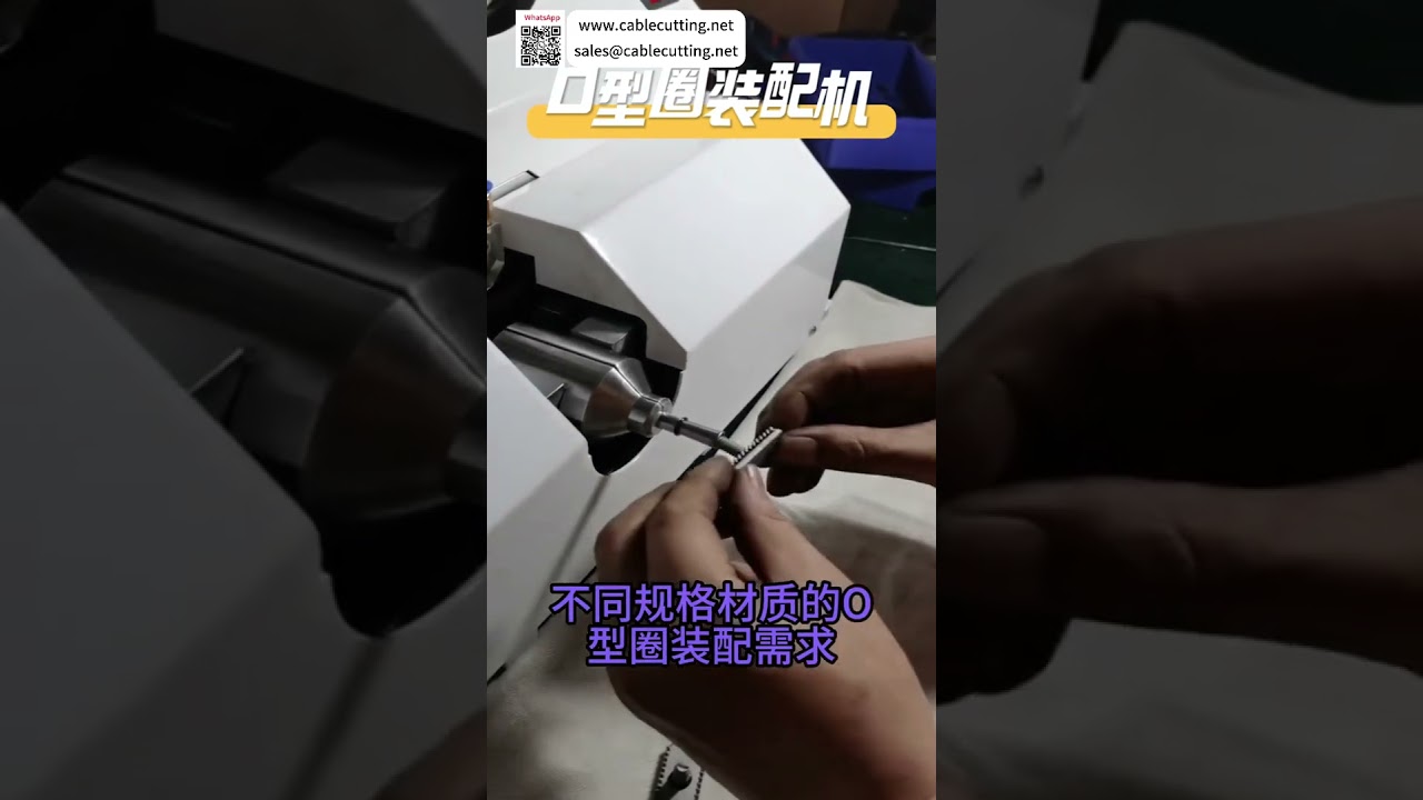 高效O型圈自动组装机 | 高速密封件生产线设备